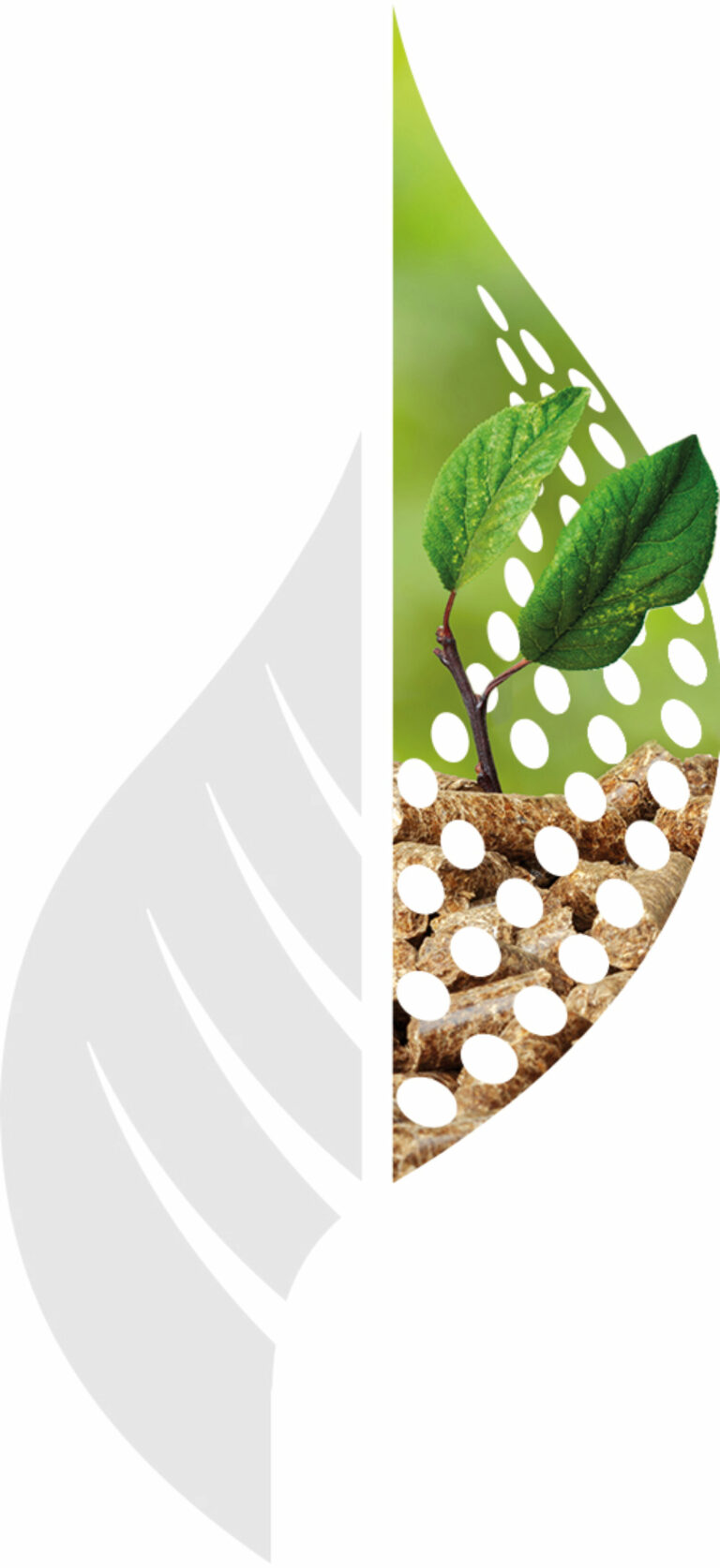 CRIBE logo with growing plant