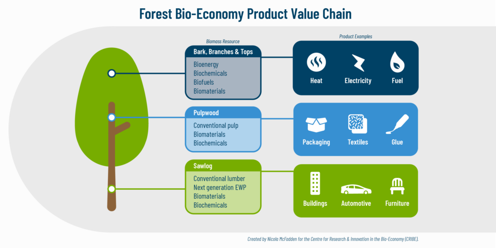 Forest Bio Economy Product Value Chain 2 01